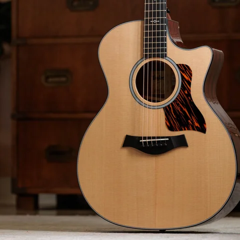 2024年の新アコースティックギター | Taylor Guitars
